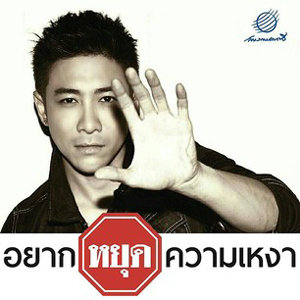 อยากหยุดความเหงา - บอย พิษณุ (Official Lyric Audio) 